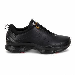 eccoBIOM c- 2.1