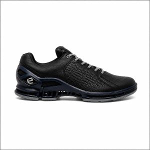 ECCO BIOM 2.2 – Black